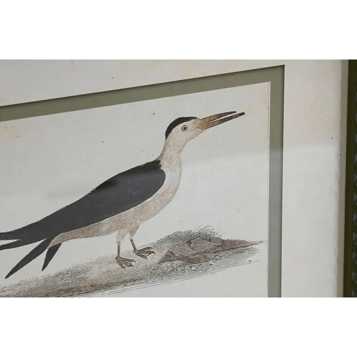Картина Home ESPRIT Кристал Бреза 40 x 2,5 x 54 cm 40 x 3 x