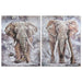 Картина Home ESPRIT Слон Колониален 90 x 3 x 120 cm (2 броя)