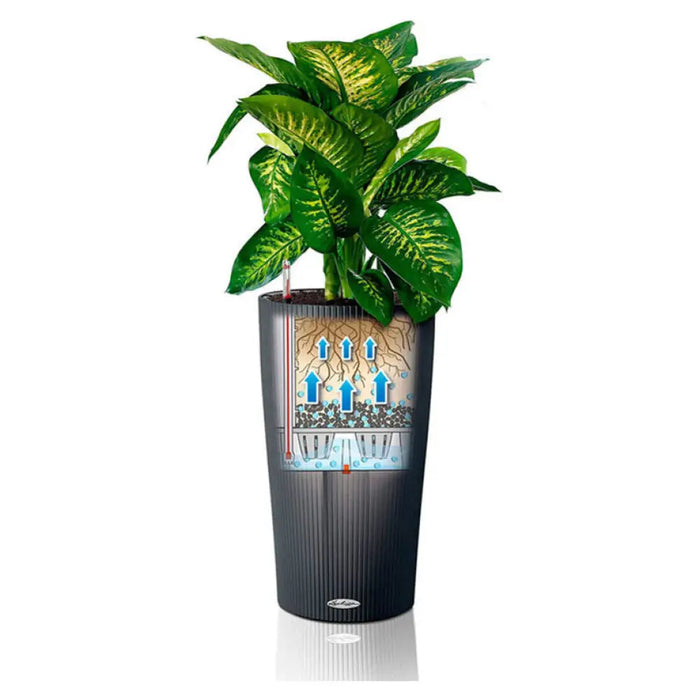 КАШПА Ф23CM С НАПОИТЕЛНА СИСТЕМА LECHUZA CILINDRO