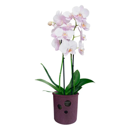 КЕРАМИЧНА КАШПА 13.5X14CM ЦИЛИНДЪР ОРХИДЕЯ