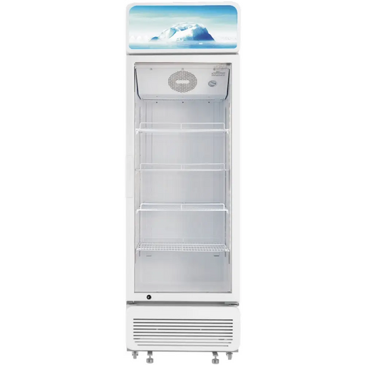 Хладилна витрина Arielli ASC-416GW