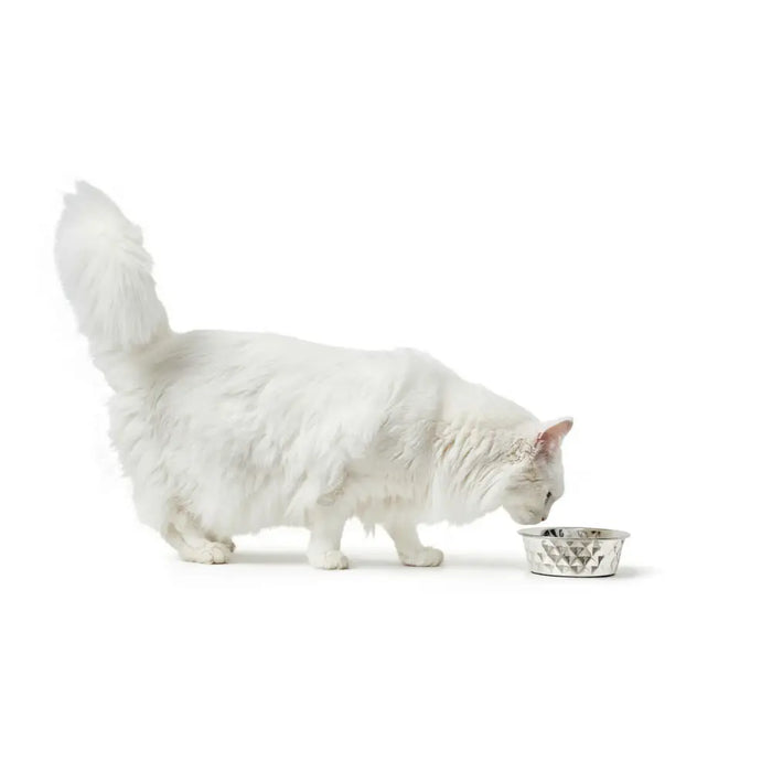 Хранилка за кучета Hunter Силикон Неръждаема стомана 550 ml