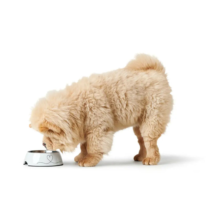 Хранилка за кучета Hunter Valencia Бял 350 ml