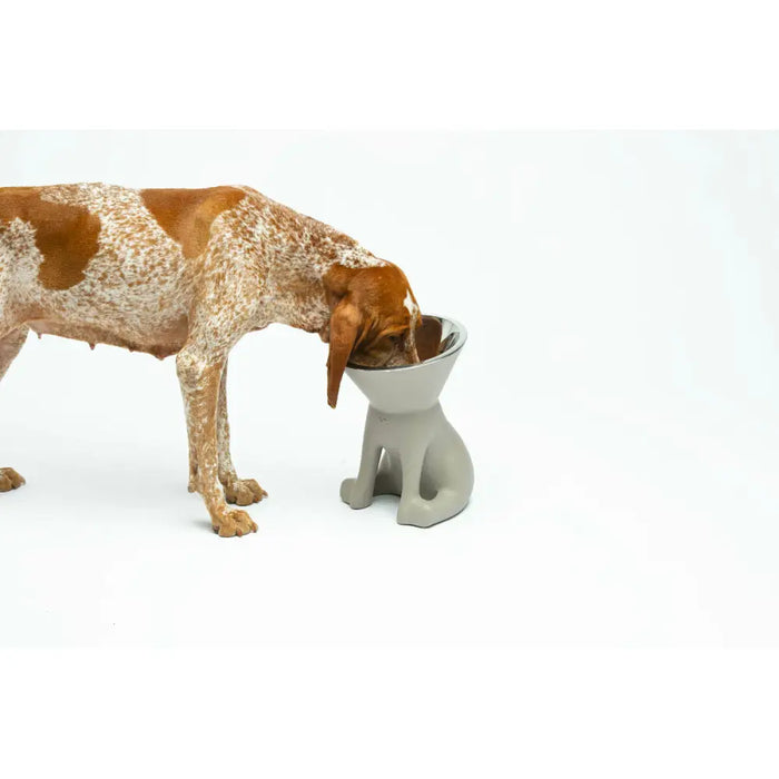 Хранилка за кучета United Pets Up Elisabeth Сив Неръждаема