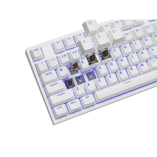 Клавиатура Genesis Gaming Keyboard Thor 404 TKL