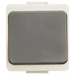КЛЮЧ ДЕВИАТОРЕН СВ.СИВО Т.СИВ IP44 TIMEX