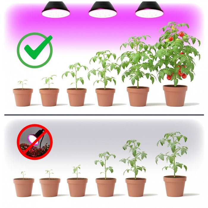 КРУШКА ЗА РАСТЕНИЯ 9W LED 1200K KOBI PLANTY B E27