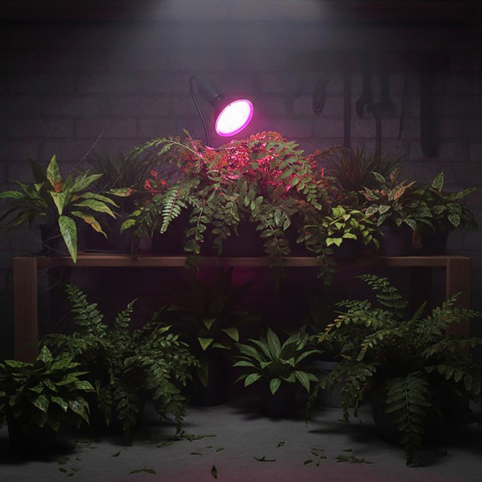 КРУШКА ЗА РАСТЕНИЯ 9W LED 1200K KOBI PLANTY B E27
