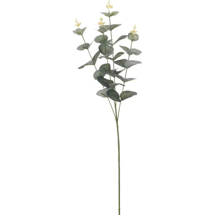 КОЛЕДНА ДЕКОРАЦИЯ КЛОНКА ЕВКАЛИПТ 70СМ H & S COLLECTION