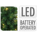 КОЛЕДЕН КОМПЛЕКТ ЗА ВХОДНА ВРАТА 2 ЕЛХИ И ВЕНЕЦ LED H & S