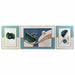 Комплект от 3 снимки DKD Home Decor Алуминий Дървен MDF 240
