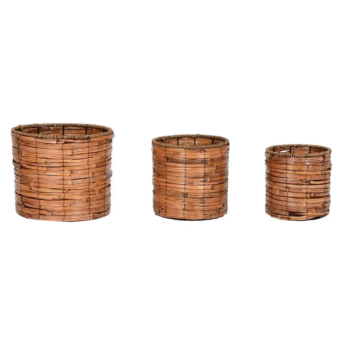 Комплект саксии Home ESPRIT Кафяв Метал Pатан Тропически 31