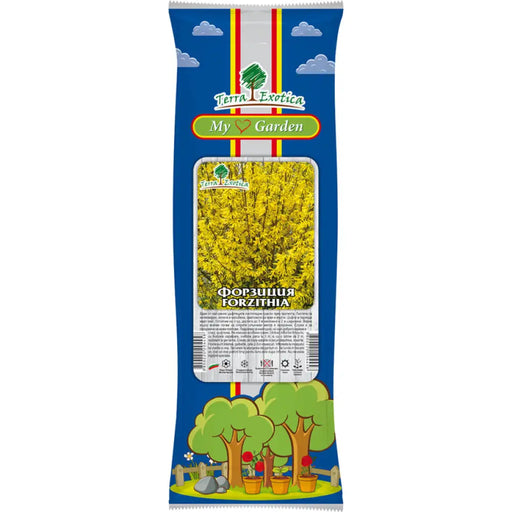 КОРЕН ФОРЗИЦИЯ EKZOTIKA