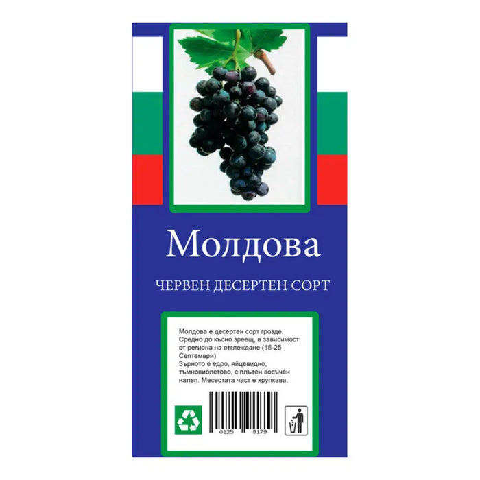КОРЕН ЛОЗА ДЕСЕРТЕН СОРТ