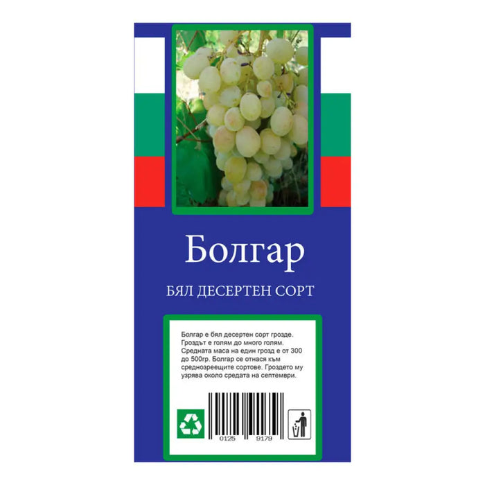 КОРЕН ЛОЗА ДЕСЕРТЕН СОРТ