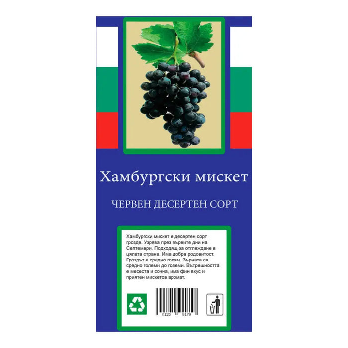 КОРЕН ЛОЗА ДЕСЕРТЕН СОРТ