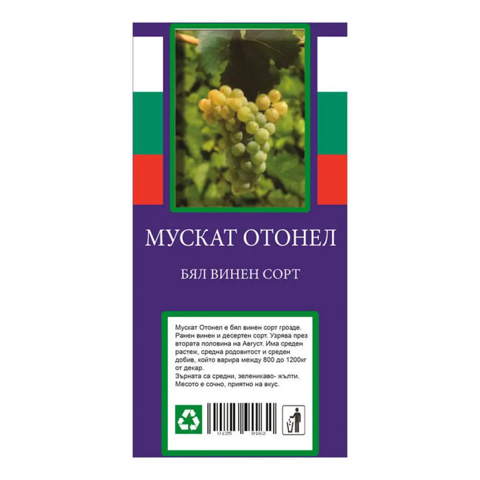 КОРЕН ЛОЗА ВИНЕН СОРТ