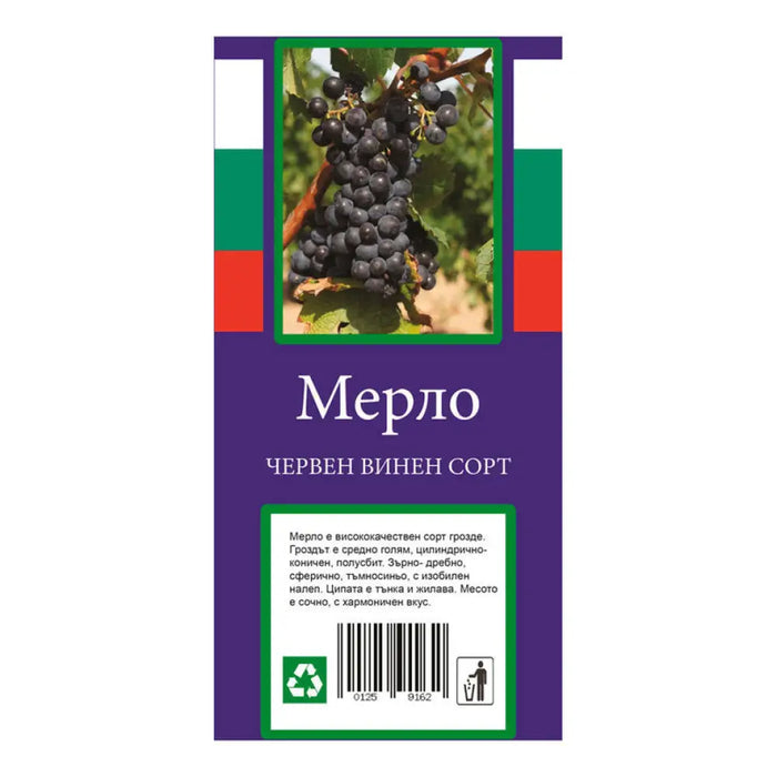 КОРЕН ЛОЗА ВИНЕН СОРТ