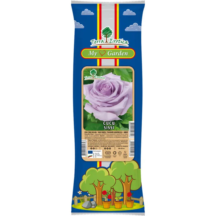 КОРЕН РОЗА ЧАЕН ХИБРИД EKZOTIKA