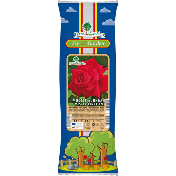 КОРЕН РОЗА ЧАЕН ХИБРИД EKZOTIKA