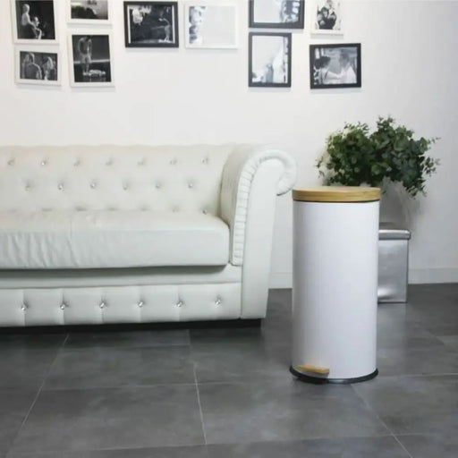 Кошче за Боклук Kitchen Move Бял 30 L