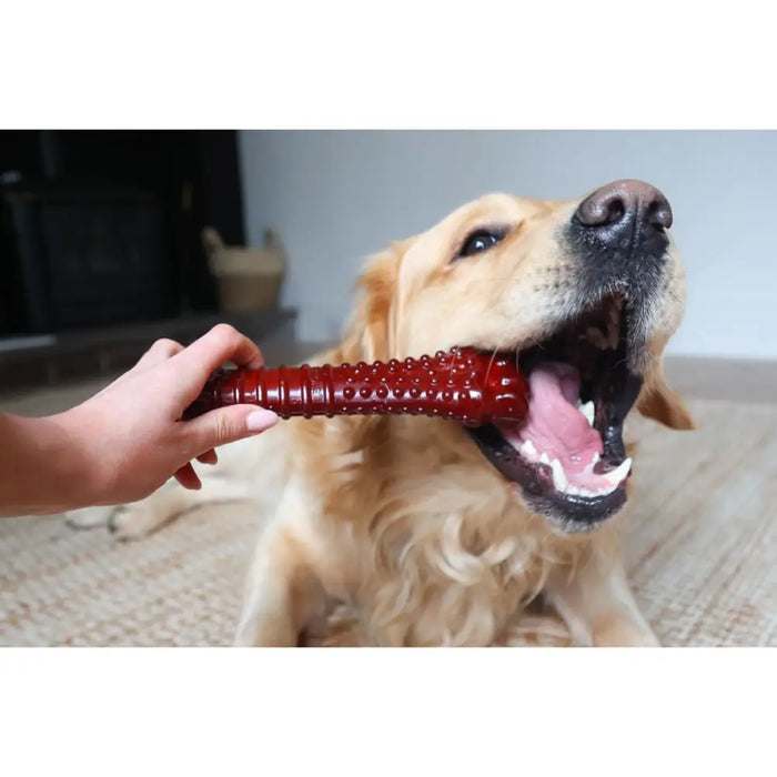 Кост Nylabone Кафяв Bacon XL