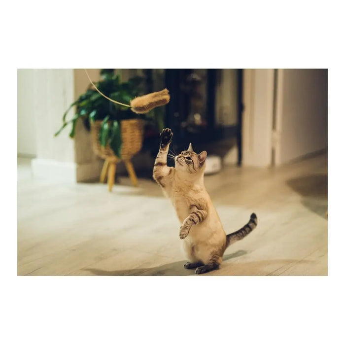 Котешка въдица Gloria Shigeru Дървен Мишка