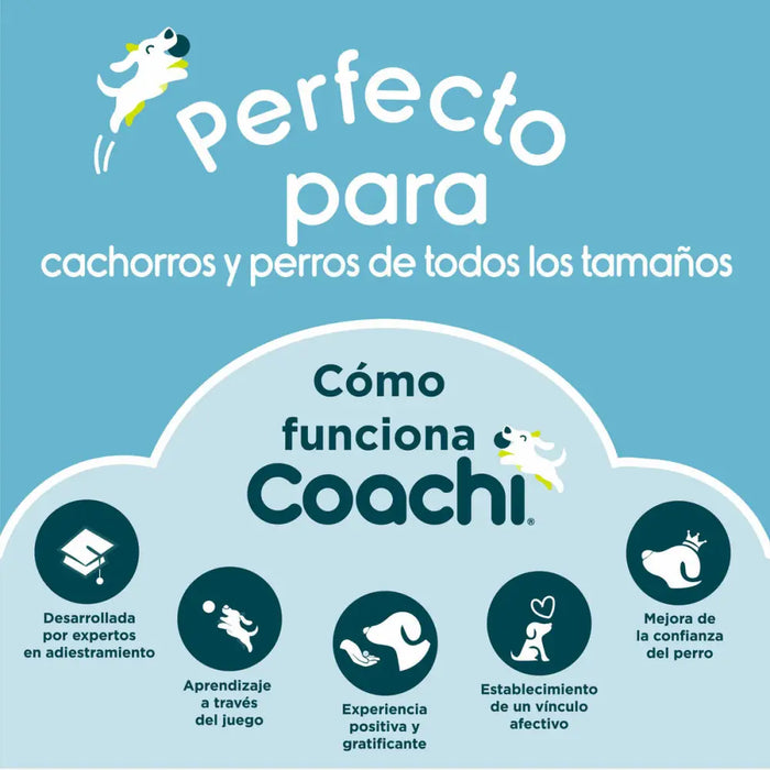 Кучешка Каишка Coachi Син Тренировка