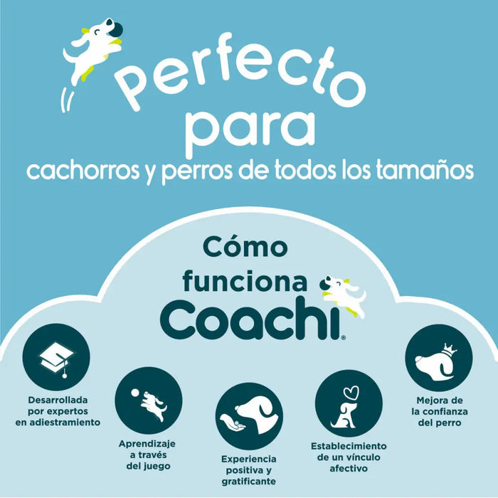 Кучешка Каишка Coachi Син 2,5 m Тренировка
