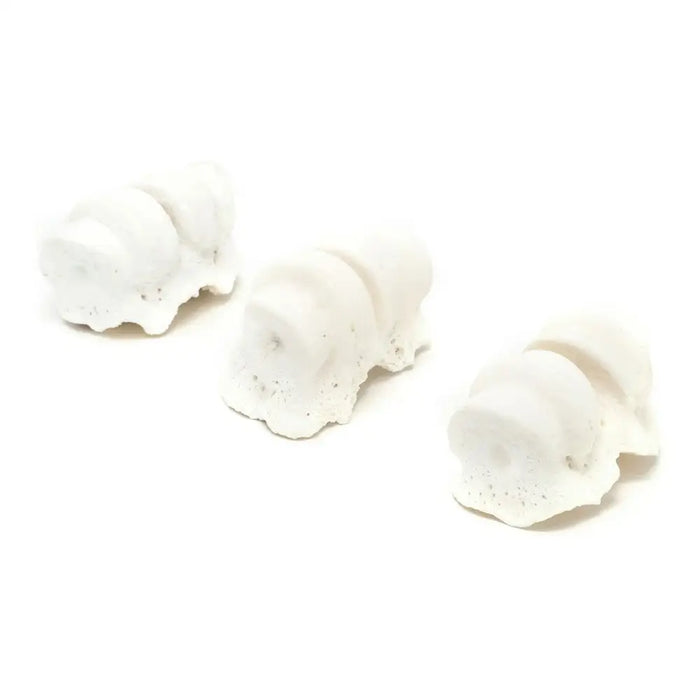 Кучешка Закуска Gloria Стави на пръстите Калций