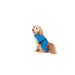 Кучешки Дъждобран Dog Gone Smart Син 55 cm