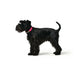 Кучешки Нашийник Hunter Convenience 53-61 cm L/XL Фуксия
