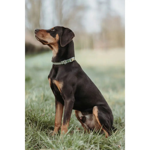 Кучешки Нашийник Hunter Зелен 40-55 cm L