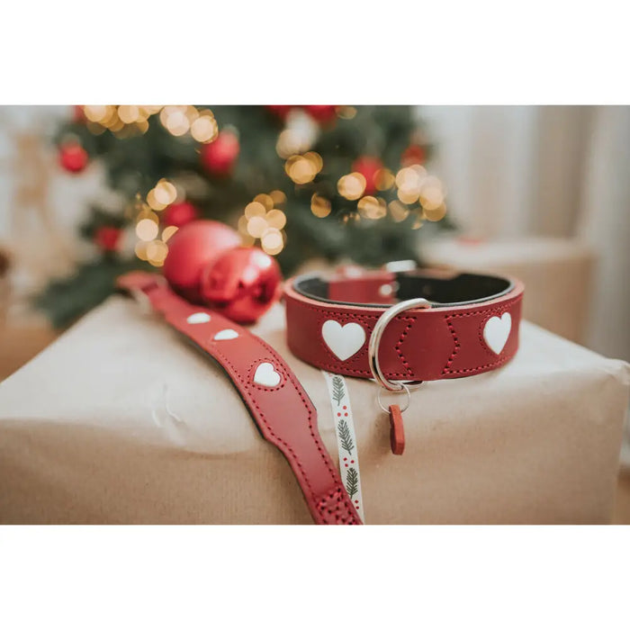 Кучешки Нашийник Hunter Love M 41-49 cm Червен