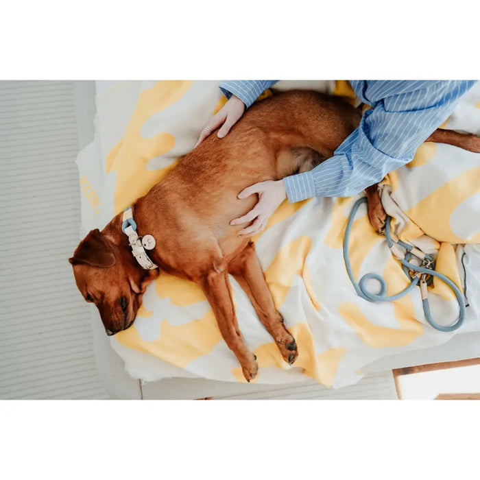 Кучешки Нашийник Hunter MALIA M Син 12 40-49 cm