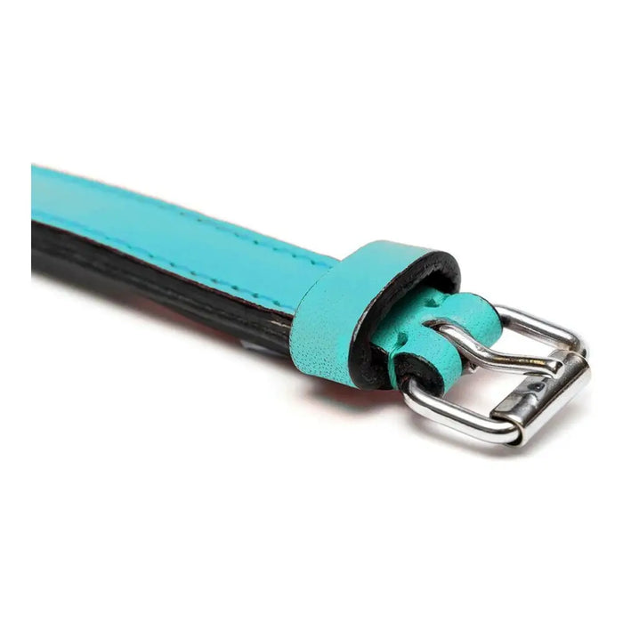 Кучешки Нашийник Gloria Подложка Turquoise 55 cm (55 x 2,5