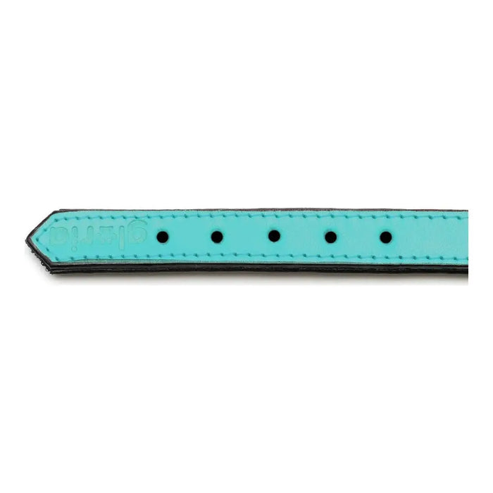 Кучешки Нашийник Gloria Подложка Turquoise 55 cm (55 x 2,5