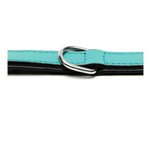 Кучешки Нашийник Gloria Подложка Turquoise 55 cm (55 x 2,5