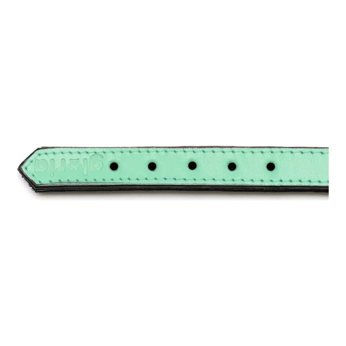 Кучешки Нашийник Gloria Подложка Зелен (35 x 1,5 cm)