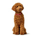 Кучешки Нашийник Hunter Love M/L 47-54 cm Червен