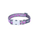 Кучешки Нашийник Red Dingo STYLE HOT PINK ON COOL GREY 15