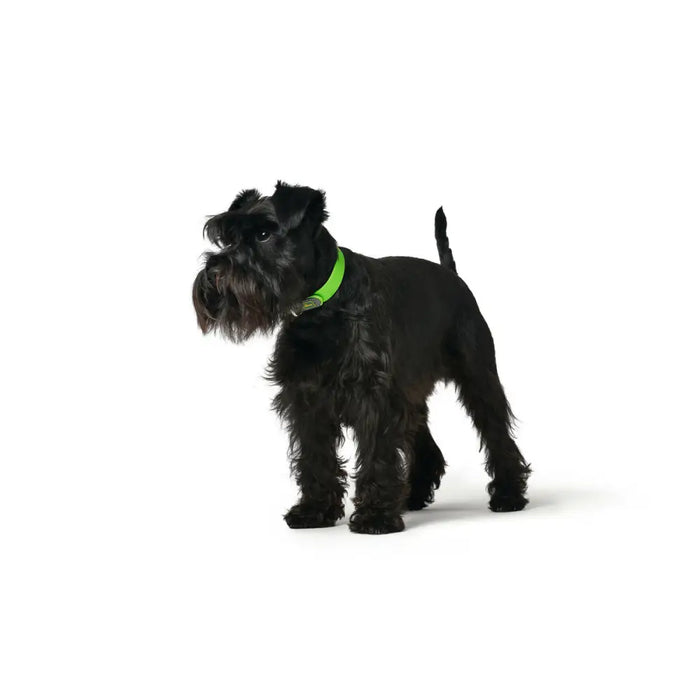 Кучешки Нашийник Hunter Convenience 23-31 cm Зелен XS/S