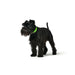 Кучешки Нашийник Hunter Convenience 23-31 cm Зелен XS/S