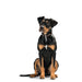 Кучешки Нашийник Hunter Swiss Кафяв Черен M 55 cm