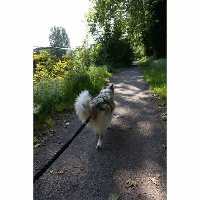 Кучешка Каишка Черен