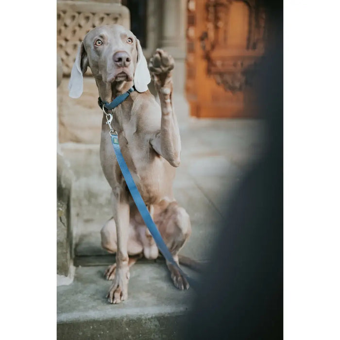 Кучешка Каишка Hunter Син 100 cm