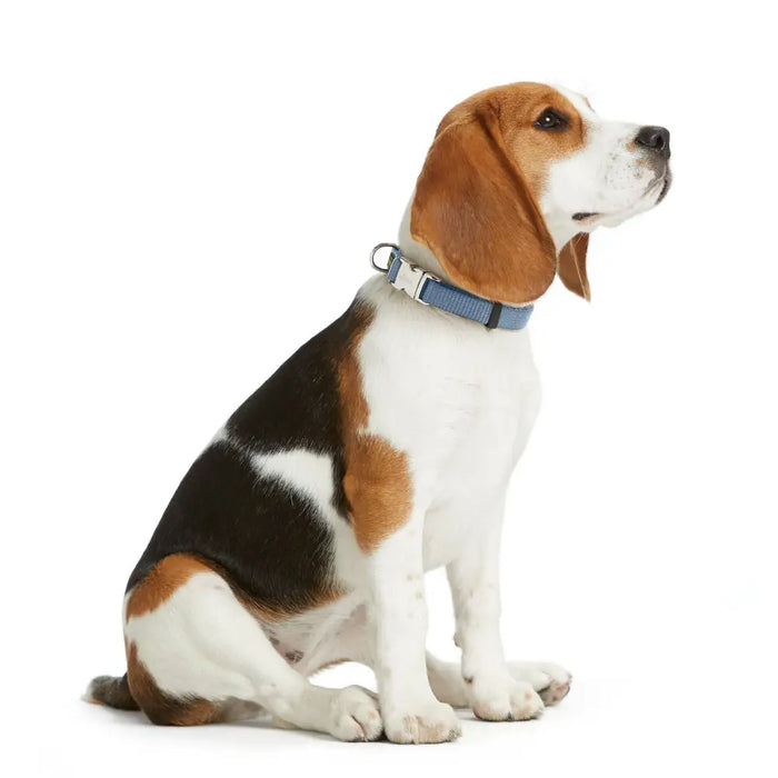 Кучешки Нашийник Hunter VARIO BASIC Син M 30-45 cm