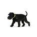 Кучешки Нашийник Hunter Convenience 53-61 cm L/XL Жълт