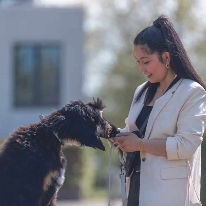 Кучешки Нашийник Trixie CityStyle Черен S/M 30-37 cm