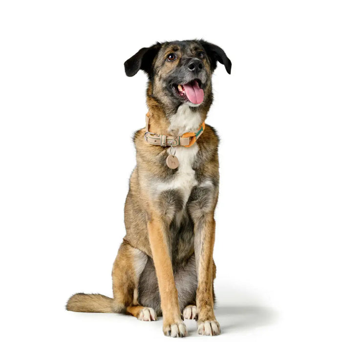 Кучешки Нашийник Hunter Malia Оранжев S/M 35-44 cm